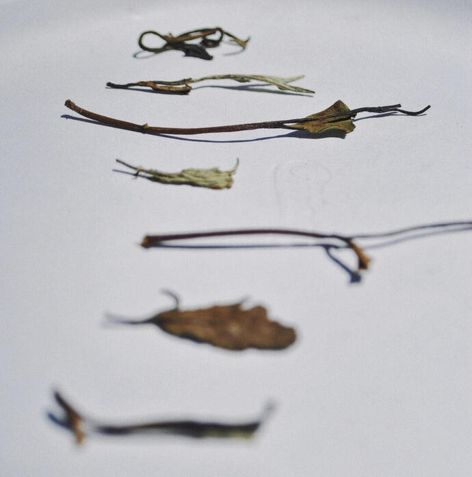 Get paid $5 - $700 for every customer you send me!